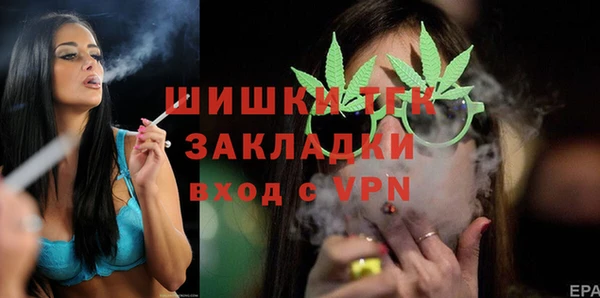 таблы Гусев
