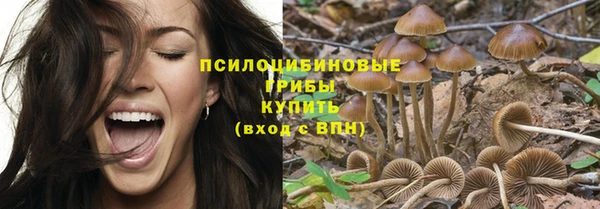 прущие крисы Алзамай