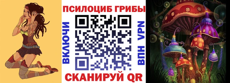 Галлюциногенные грибы прущие грибы  ОМГ ОМГ зеркало  Петропавловск-Камчатский 