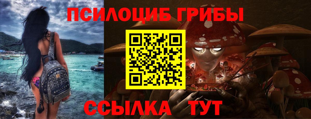 Псилоцибиновые грибы GOLDEN TEACHER Петропавловск-Камчатский